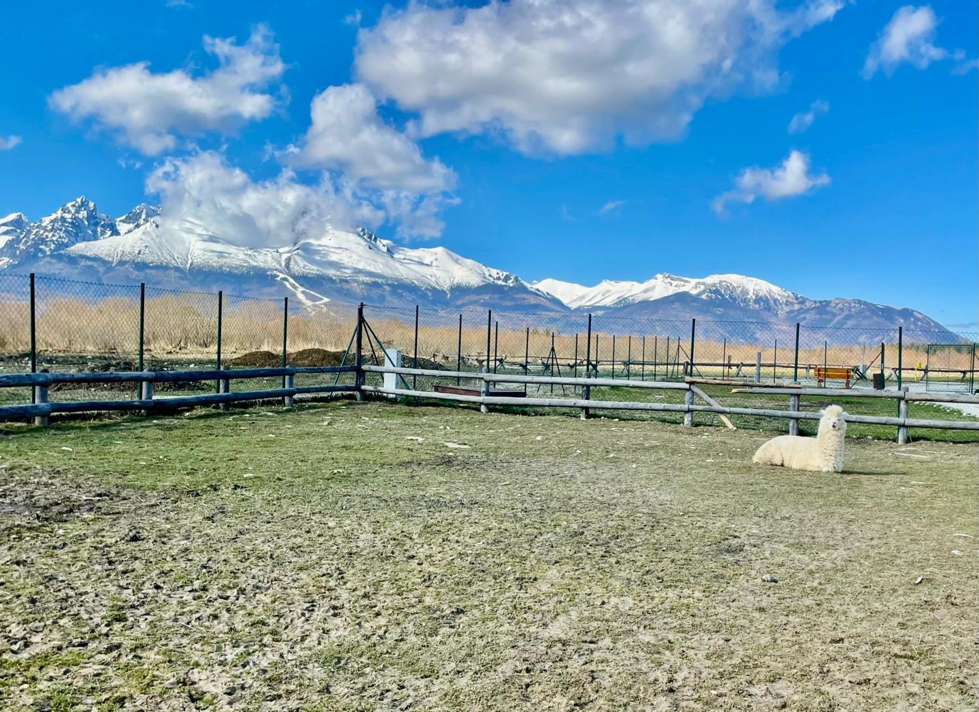 ולקה לומניקה Apartment Jenny- Stunning View Of High Tatras מראה חיצוני תמונה